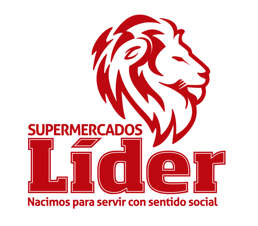Asset-1logo-lider